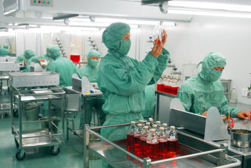 长春高新生物医药产业园超高性能医疗器械产业化项目正式开工